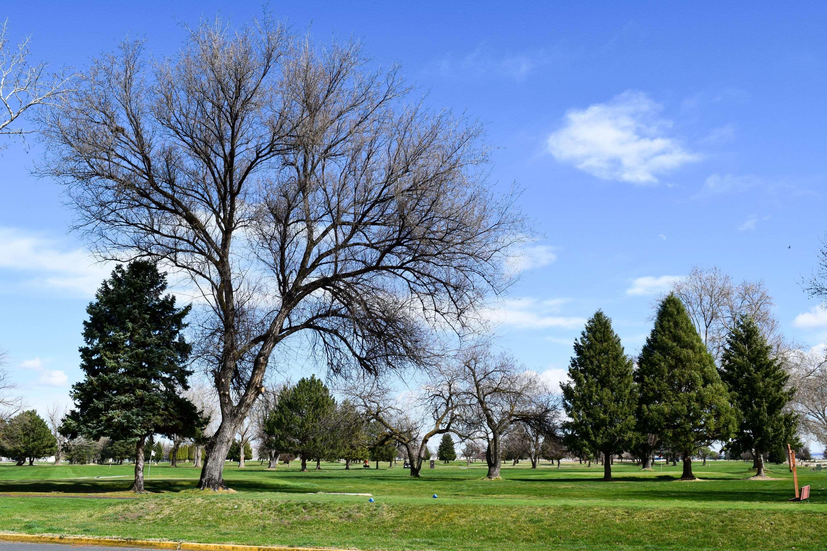 Quality Inn Umatilla - Hermiston Bagian luar foto